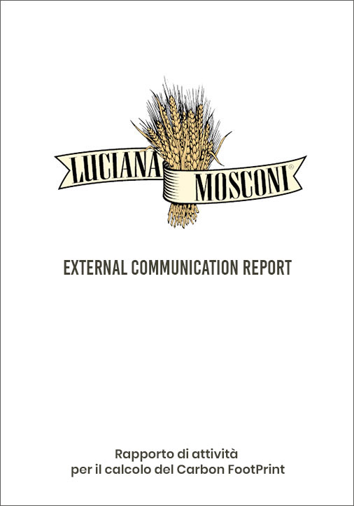 copertina report ambiente